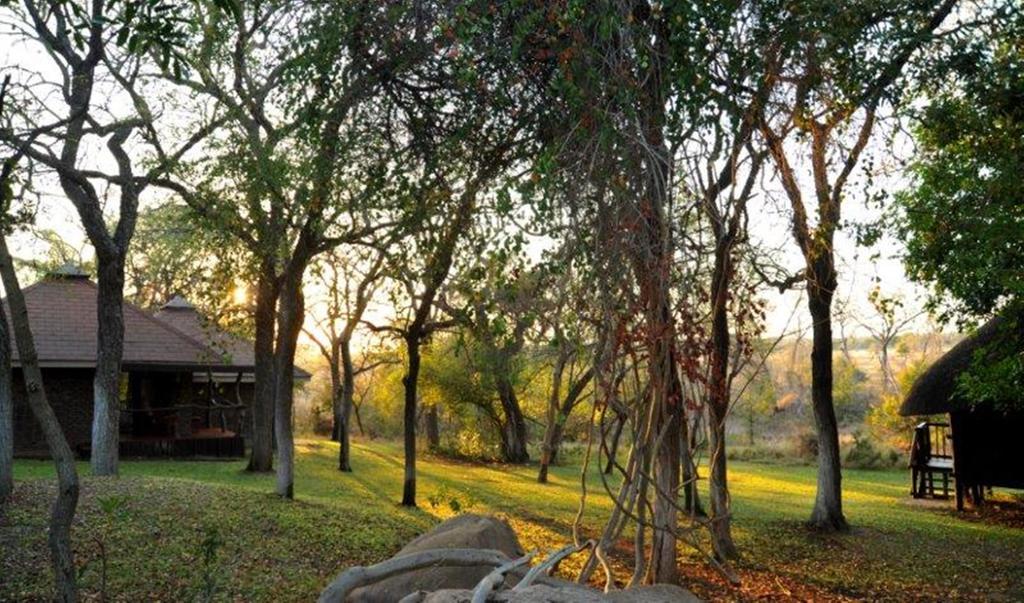 Idube Game Reserve Саби-Санд-Гейм-Резерв Экстерьер фото