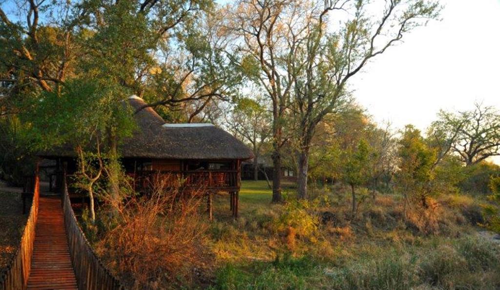 Idube Game Reserve Саби-Санд-Гейм-Резерв Номер фото